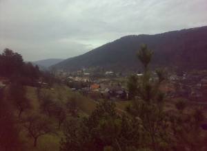 21032010420_original