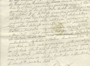 image-3_original